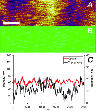 (A) AFM and (B) optical images captured simultaneously on the PMMA/silver nanoparticles sample, the scale bar represents 400 nm. (C) Height and intensity profiles of one scan line of the data shown in panels (A) and (B).