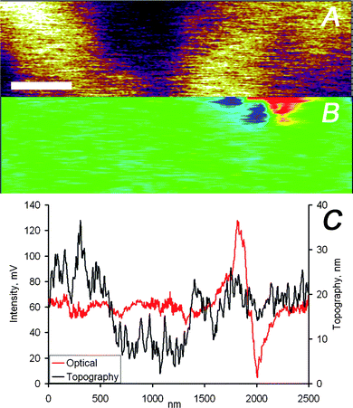 (A) AFM and (B) optical images captured simultaneously on the PMMA/silver nanoparticles sample, the scale bar represents 400 nm. (C) Height and intensity profiles of one scan line of the data shown in panels (A) and (B).