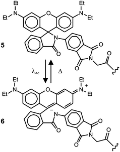 The activation of the nonfluorescent species 5 at 375 nm (λAc) opens the five-membered ring at its core to generate the fluorescent isomer 6.