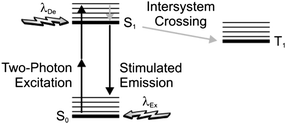 After two-photon excitation of the ground state (S0), stimulated emission can be exploited to deplete the first singlet excited state (S1) and prevent intersystem crossing to the first triplet excited state (T1).