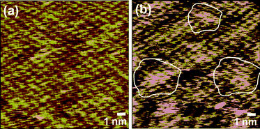 
            STM images of (a) CTAB stabilized and (b) AUA functionalized graphene sheets.