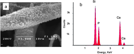 (a) 20% PSi/PCL fibers soaked in SBF for 3 weeks. The fiber surface was deposited with calcium phosphate nanocrystals upon SBF exposure. (b) EDX analysis confirms the composition of the nanoparticles are calcium and phosphorous.