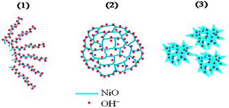Pictorial representation of (1) fibrous NiO-N, (2) honeycomb NiO-A and (3) flower-like NiO-C structures showing accessibility to OH− ions.