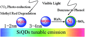 Scheme of different-diameters SiQDs for different reactions. (Reprinted with permission from ref. 9, © 2007 American Chemical Society.)