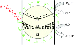 Schematic of the electron–hole generation in H-SiNW photocatalyst and the mechanisms involved: (left) light promotes the formation of the electron and hole; (middle) the electron transfer to hydrogen atom on the surface; (right) the hole is used in the formation of the OH* groups promoting oxidising processes. (Reprinted with permission from ref. 174, © 2009 American Chemical Society.)