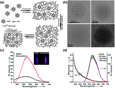 (a) Schematic of synthesis of Si nanospheres. (b) TEM images of three nanospheres with a size of ∼60 nm (top left), ∼120 nm (top right), and ∼200 nm (bottom left), and high-resolution TEM (HRTEM) image (bottom right) of a single SiQD inside the nanospheres. (c) PL of the free-standing SiQDs and as-prepared nanospheres, and (inset) the corresponding photograph of the luminescence from the samples of the free-standing SiQDs and nanosphere solution under irradiation by 365 nm light from UV lamp. (d) Temporal evolution of the absorption and corresponding PL spectra of the as-prepared nanospheres over half a year in ambient air conditions without any special protection. (Reprinted with permission from ref. 13, © 2009 Wiley.)