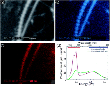 (a) High-resolution scanning electron microscopy (HRSEM) image of single SiNWs. (b) The corresponding pseudocolor blue CL image of the same SiNWs. (c) The corresponding pseudocolor red CL image. (d) CL spectra of the bundle of O-terminated as-grown SiNWs; the horizontal bars at the top represent the transmittance regions of the red and blue color filters used for quasimonochromatic CL imaging. (Reprinted with permission from ref. 154, © 2007 The American Physical Society.)