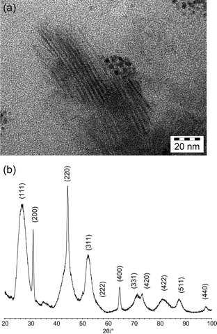 
              (a)TEM images of SrF2 nanoneedles (sample provided by C. H. Yan) and (b) powder pattern of SrF2 nanoneedles.