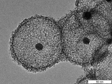 
            TEM image of Au nanoparticles encapsulated in ZrO2 hollow spheres (sample provided by M. Paul).