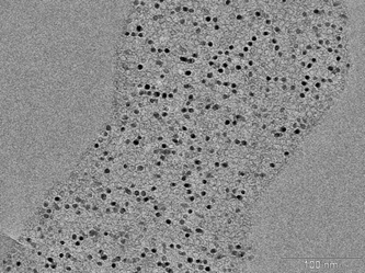 
            TEM image of nanoparticles of Fe2O3 encapsulated in the pores of synthetic CMK-5 carbon material (sample provided by J. Nitz and A. H. Lu).