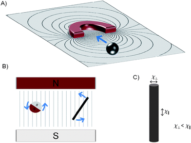 Forces and torques for paramagnetic and ferromagnetic particles in (A) gradient and (B) homogenous magnetic fields. Both a spherical ferromagnetic particle and an anisotropic paramagnetic rod-shaped structure are shown. The latter is depicted in (C) with anisotropy in the magnetic susceptibility.