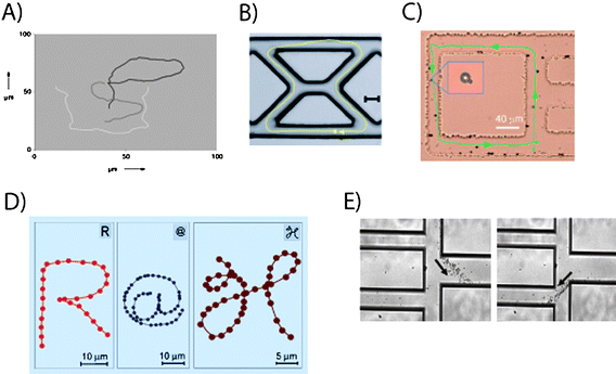 Directionality and control with magnetic fields. (A) Trajectory of a PT/Ni/Au/Ni/Au nanorod54 writing “PSU” in H2O2. (B) Directed Au/Ni/Au/Pt-CNT nanomotor56 motion in a PDMS device (scale bar 25 μm). (C) Controlled motion of a colloidal doublet59 in a glass etched microchannel. (D) Trajectory of nanopropellers63 that ‘write’ “R@H” in solution with micron precision. (E) Swimming path of a swarm of MTB70 controlled in a microfluidic device. Reprinted with permission from references 54, 56, 59, 63 and 70.