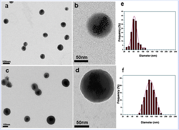 
            TEM characterization of the starting NBs (a and b) and corresponding PNIPAM–NBs (c and d) at low field and at high magnification. The statistical TEM-diameter measured (f) for the PNIPAM–NBs corresponds to 135 ± 22 nm and (e) for the starting NBs corresponds to 65 ± 15 nm. The statistics have been done on an average of 150 beads measured.