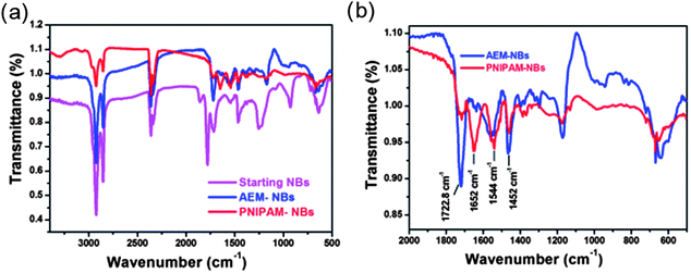 (a) IR-spectra of starting NBs, AEM-modified NBs and PNIPAM–NBs. (b) Detailed IR-spectra of the region of interest for the PNIPAM growth for the AEM-modified beads and PNIPAM–NBs.