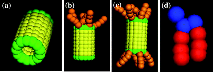 Images of the nanotube with (a) no, (b) one, and (c) two end-functional groups, and (d) the amphiphilic lipid.