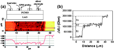 (a) Upper schematic: a simplified experimental setup for KPM imaging. Lower image: a surface potential map with a line scan obtained on the Ag–PCMO–Ag surface while flowing a 1 µA current through the two top electrodes. (b) The resulting ΔV/ΔI profile. (Reprinted with permission from ref. 55.)