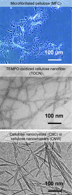 
          Optical micrograph of MFC, and TEM images of wood TOCN27and CNC.16Reproduction of the TOCN image from ref. 27 with permission from American Chemical Society (© American Chemical Society); reproduction of the CNC image from ref. 16 with permission from Springer (© Elsevier 1998).