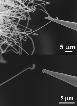 (A, B) The SEM images of individual AlN nanowire and the tungsten probe (A) during the conductivity measurement, and (B) during the field emission measurement.