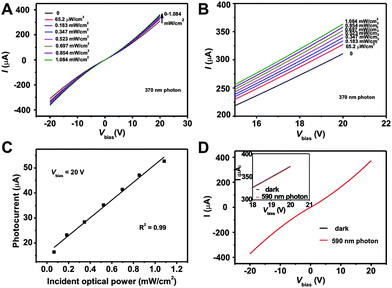 (A) Current versus voltage curves for ZnO nanorod/graphene heterostructures under dark and different power 370 nm photon radiation from 0 to 1.084 mW cm−2, (B) an enlarged view of (A) with Vbias from 15 V to 20 V, (C) photocurrent (the current increase under photon radiation) as a function of incident optical power at 20 V bias, (D) Current versus voltage curves for ZnO nanorod/graphene heterostructure under dark and 108.5 μw/cm2 590 nm photon radiation. Inset: enlarged view of (D) with Vbias from 18 V to 20 V.