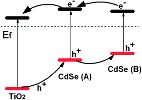 An energy level schematic diagram for TiO2/CdSe I/CdSe II.
