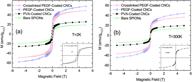 Magnetization vs. magnetic field at (a) 2 K and (b) 300 K for all the CNCs; the insets (with the same units) are zooms on the curves of PVA-coated CNCs.
