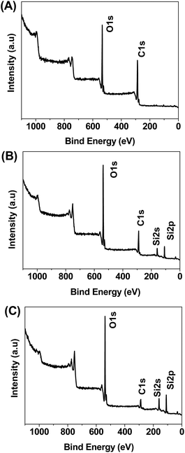 
            XPS spectra of GO (A), GO–SiO2 (B) and bGO–SiO2 (C).