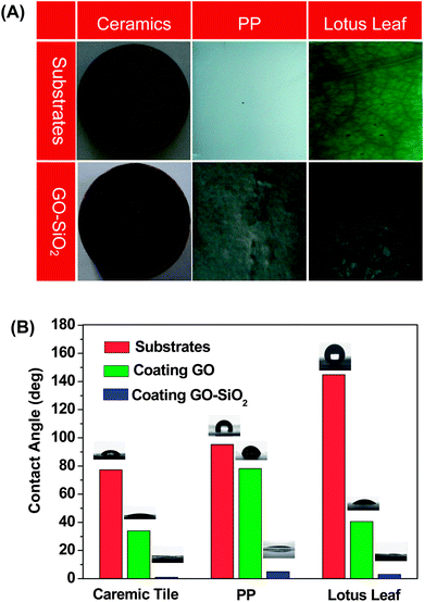 (A) Photographs of blank substrates (top) and GO–SiO2-coated substrates (bottom) of a ceramic tile, PP and a lotus leaf. (B) Water contact angles (WCAs) of blank, GO-coated and GO–SiO2-coated substrates.