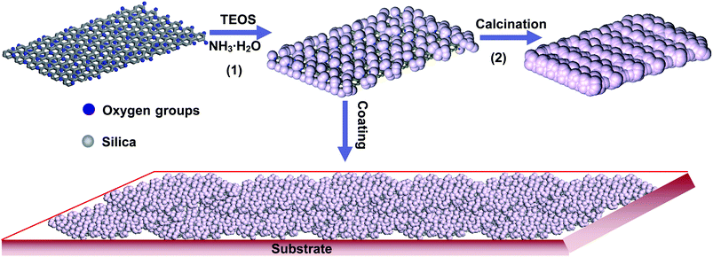 The procedure for the synthesis of GO–SiO2 nanohybrid and its application as precursor of silica sheets and building blocks for superhydrophilic coatings.