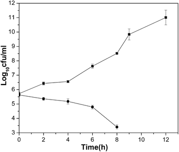 Cell growth of V. choleraeNB2 in the presence of ZnTe_G4.NH2 at MBC. –■–, and –●–, growth in the absence (control) and presence of the nanoparticle (128 μg ml−1), respectively.