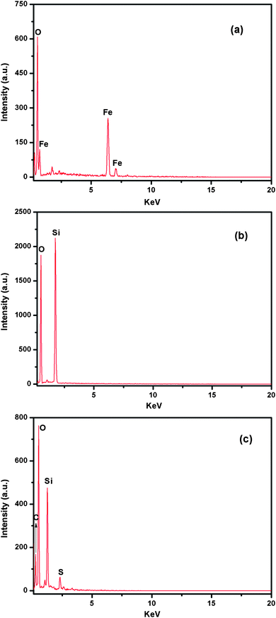 EDS spectra of Fe3O4 (a), Fe3O4@SiO2-Dye-SiO2 (b), and Fe3O4@SiO2-Dye-MIP (c).