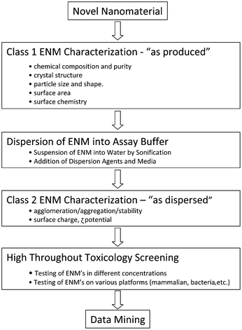 Assay development workflow for high throughput toxicity screening of nanomaterials.