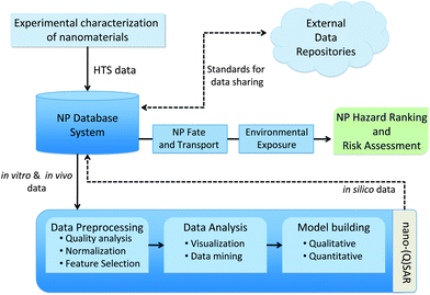 Components of a computational framework for predictive nanotoxicology.