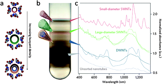(a) Cartoon of sodium cholate encapsulated carbon nanotubes with different nanotube buoyant density. (b) Photograph of a centrifuge tube following the first iteration of DGU separation. Four sets of bands corresponding to small-diameter SWNTs, large-diameter SWNTs, DWNTs, and a mix of dense MWNTs, carbonaceous impurities and bundles (thick black band) are observed. (c) The optical absorbance spectra of the corresponding bands of material taken from the centrifuge tube at the locations indicated. Dashed lines represent the absorbance of enriched SWNTs and DWNTs produced following a second DGU iteration. Reprinted from ref. 2.