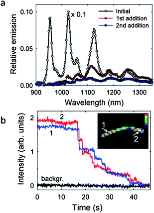 Fluorescence quenching was rapid and nearly complete after adding bromobenzenediazonium salt solution. (a) Fluorescence spectra of a DWNT suspension after addition of bromobenzenediazonium salt solution. (b) Stepwise fluorescence quenching. The inset shows locations of the segments from which emission intensities are measured. Reprinted from ref. 89.