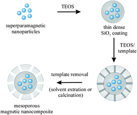 Schematic illustration of a typical four-step procedure for the synthesis of superparamagnetic mesoporous SiO2 spheres.