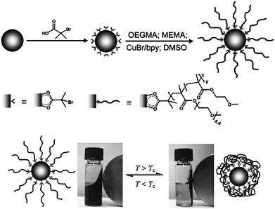 Synthesis of thermo-responsive magnetic iron oxide polymer brush particles via surface-initiated ATRP. Thermo-flocculation of the particles in water (ref. 129).