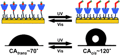 A photocontrolled molecular shuttle self-assembled monolayer based on an α-cyclodextrin/azobenzene inclusion complex on rough gold surfaces, exhibiting reversible wettability with UV/visible irradiation.112