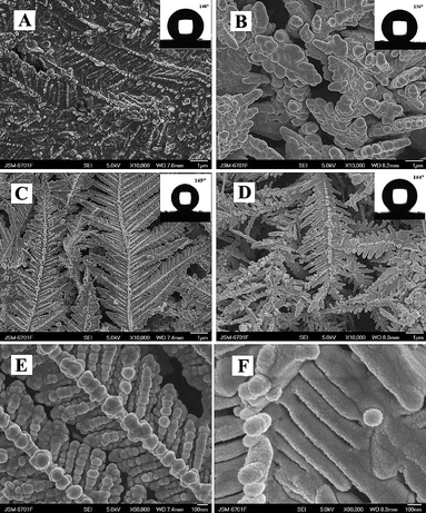 Effect of the deposition time on the morphology of the copper substrate after deposition of Ag for (A) 10 s, (B) 20 s, (C) 30 s, and (D) 60 s; (E, F) larger views of C and D; contact angles shown in inset pictures.37