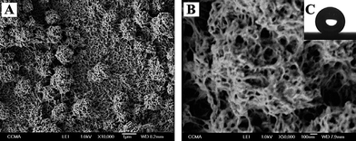 (A–B) SEM images of the polymeric surface on gold substrates at different magnifications and (C) picture of a hexadecane droplet on the surface.88