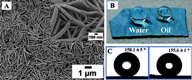 (A) Large-area SEM image of the prepared petal-like zinc surface; the inset is a high resolution SEM image. (B) The camera pictures of water and oil droplets setting on the as-prepared surface. (C) Contact angle profiles of water droplet (left) and oil droplet (right) on the surface.89