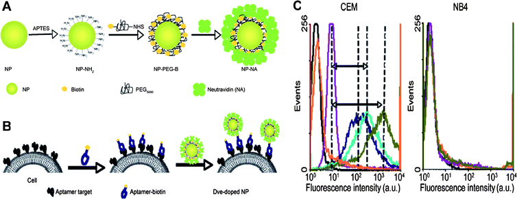 (A) Surface modification scheme for dye-doped silica nanoparticles. (B) Incubation procedures of aptamer-conjugated dye-doped silica nanoparticles with cells. (C) Flow cytometry histograms of increasing amounts of aptamer-conjugated dye-doped silica nanoparticles with CEM cells (target cells) and NB4 cells (control cells). Adapted from ref. 37.