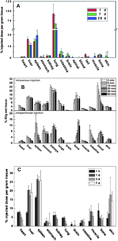(A) Biodistribution histograms of unmodified SWCNTs in mice at different time points post exposure viai.v. injection. These were quantified by the isotope (13C) labeling technique, which has been demonstrated to be the most sensitive method for determination of biodistributions and metabolism kinetics of carbon nanomaterials in vivo(ref. 90). (B) The biodistribution histograms of OH-modified SWCNT in mice at different time points post exposure viai.v. injection. It was quantified by the isotope (131I) labeling technique (ref. 92). (C) The biodistribution histograms of PEG-modified SWCNT in mice at different time points post exposure viai.v. injection. It was quantified by the isotope (13C) labeling technique (ref. 94).