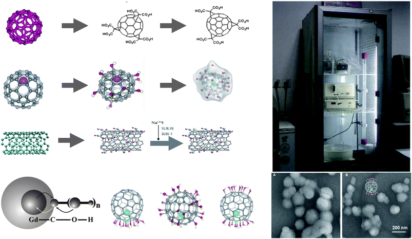 The knowledge gained so far allows the design of a safe carbon nanomaterial by surface modification. The key is to develop a controllable chemistry for surface modification, in order to reach the goal of reducing the toxicity, enhancing the bio-medical functions, realizing the delivery to targeted tissues, etc. On the other hand, to apply newly proposed chemical processes such as “click chemistry” or “green chemistry” to nanosurface modifications may become important topics in future for the creation of safe nanomaterials with designed surface chemistry.