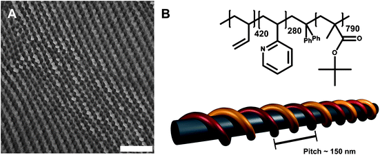 
            TEM micrograph showing the bulk morphology of B420V280T790 (A), the scale bar corresponds to 500 nm; structure, composition, and schematic bulk morphology, depicting a P2VP double helix with a pitch of roughly 150 nm (B).16