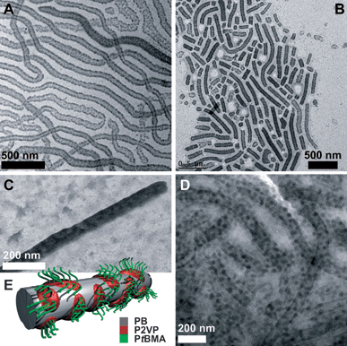 
            TEM micrographs of BVT cylinders after crosslinking (A), sonication for 5 minutes (B), staining with iodide (C); cryo-TEM micrograph of BVT in THF after crosslinking and sonication for 5 minutes (D), proposed solution structure of the block terpolymer particles (E).