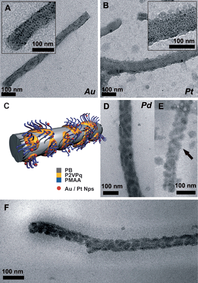 
            TEM micrographs of BVqMANa cylinders/metal nanoparticle hybrids deposited from aqueous solution; Au (A), Pt (B), the insets showing a higher magnification, and Pd (D), the proposed solution structure (C); cryo-TEM images from Pd@BVqMANa (E and F).