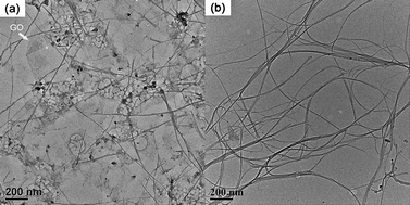 
          TEM images of (a) SWCNT/GO and (b) SWCNT solution dispersed by RNA.