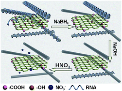 Schematic diagram of the post-treatment of SWCNT/GO hybrid films.