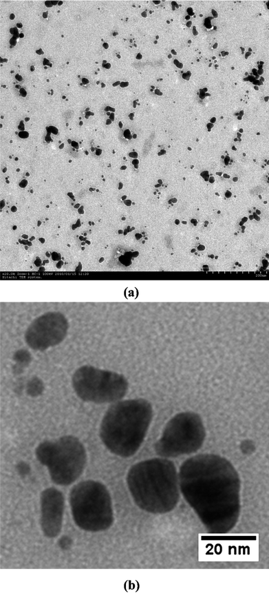 
            TEM micrographs showing uniformly distributed silver nanoparticles. (a) Low magnification image and (b) high magnification image.