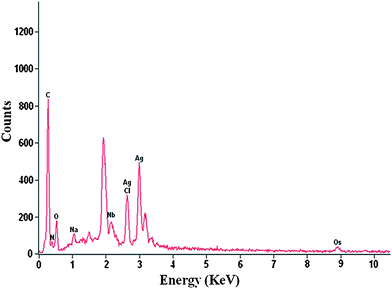 
            EDS spectrum showing the presence of elemental silver.